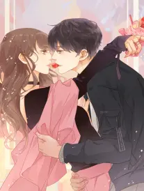 雪松脊线漫画馆按开本分区的书架近景